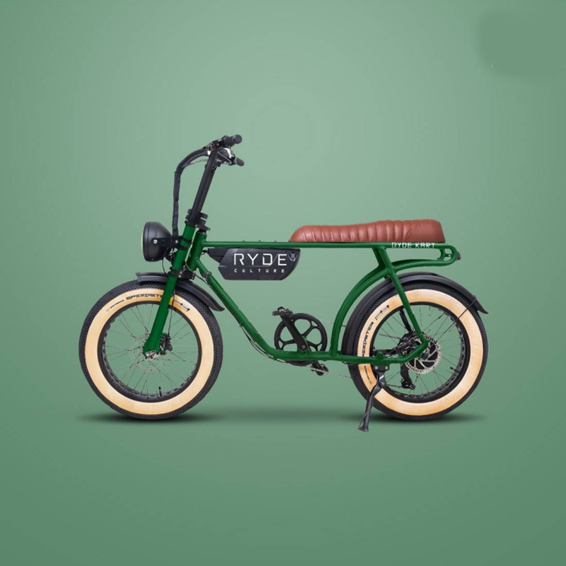 Ryde Culture (eBike)