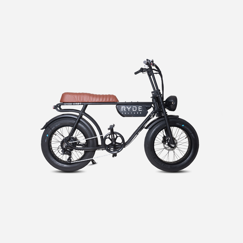 Ryde Culture (eBike)