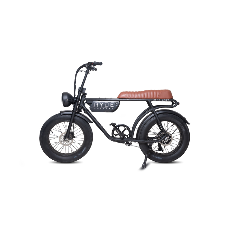 Ryde Culture (eBike)