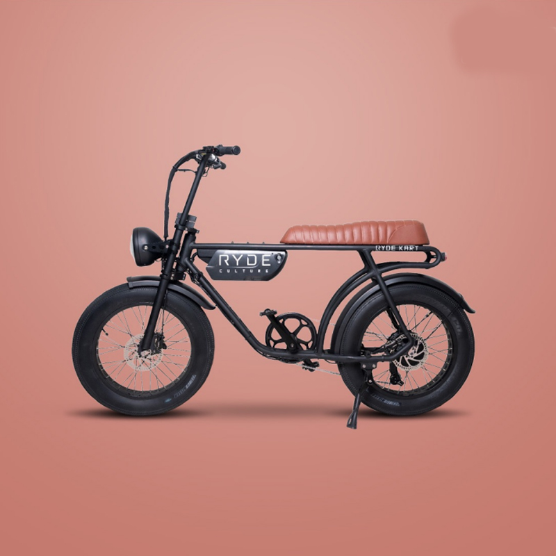 Ryde Culture (eBike)